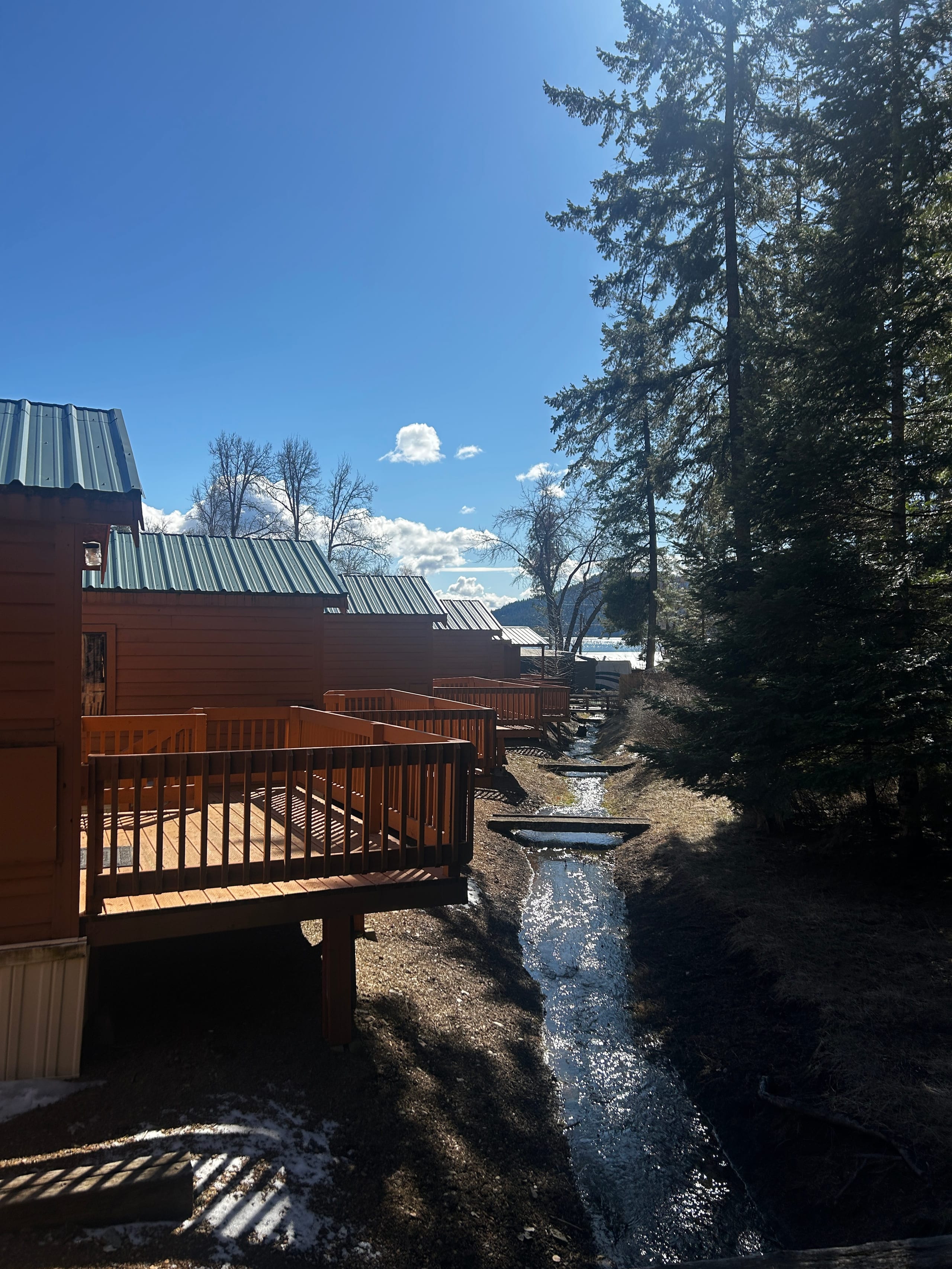 Forest Cabins